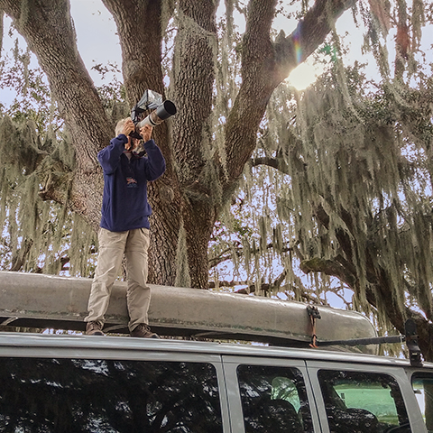 Nancy at Lake Wailes Park taking pictures of great horned owl chicks in a nest in the fork of a tree.