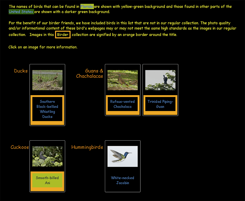 Portion of our Bird Portfolio page